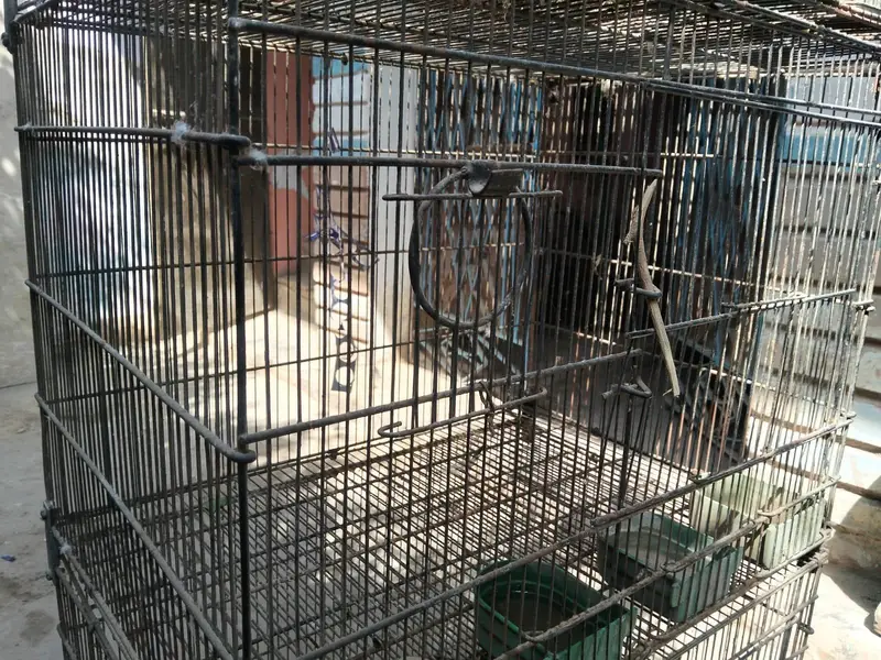 4 portion folding cage 10 by 10 condition — photo 3