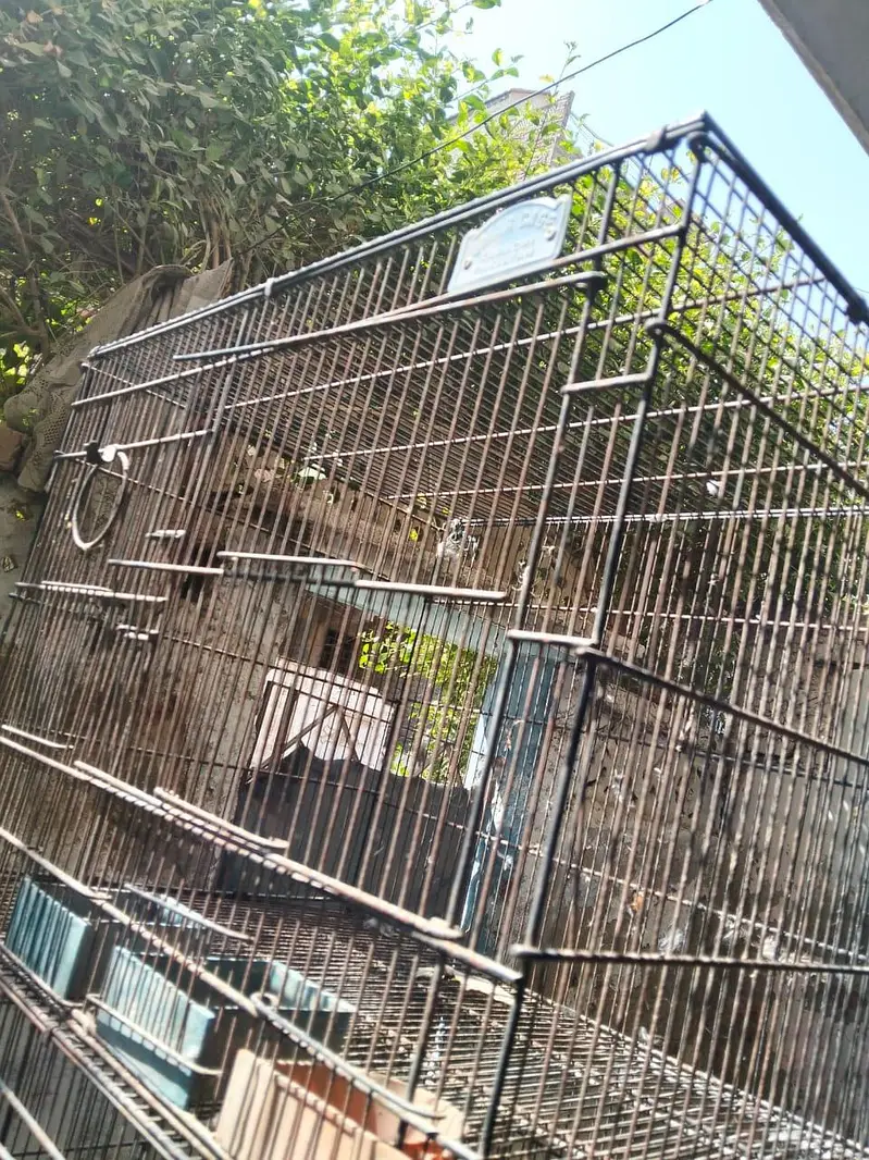 4 portion folding cage 10 by 10 condition — photo 4