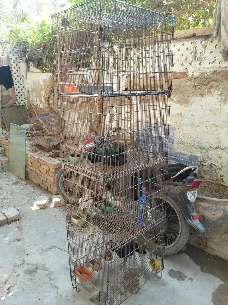 4 portion folding cage 10 by 10 condition — photo 5