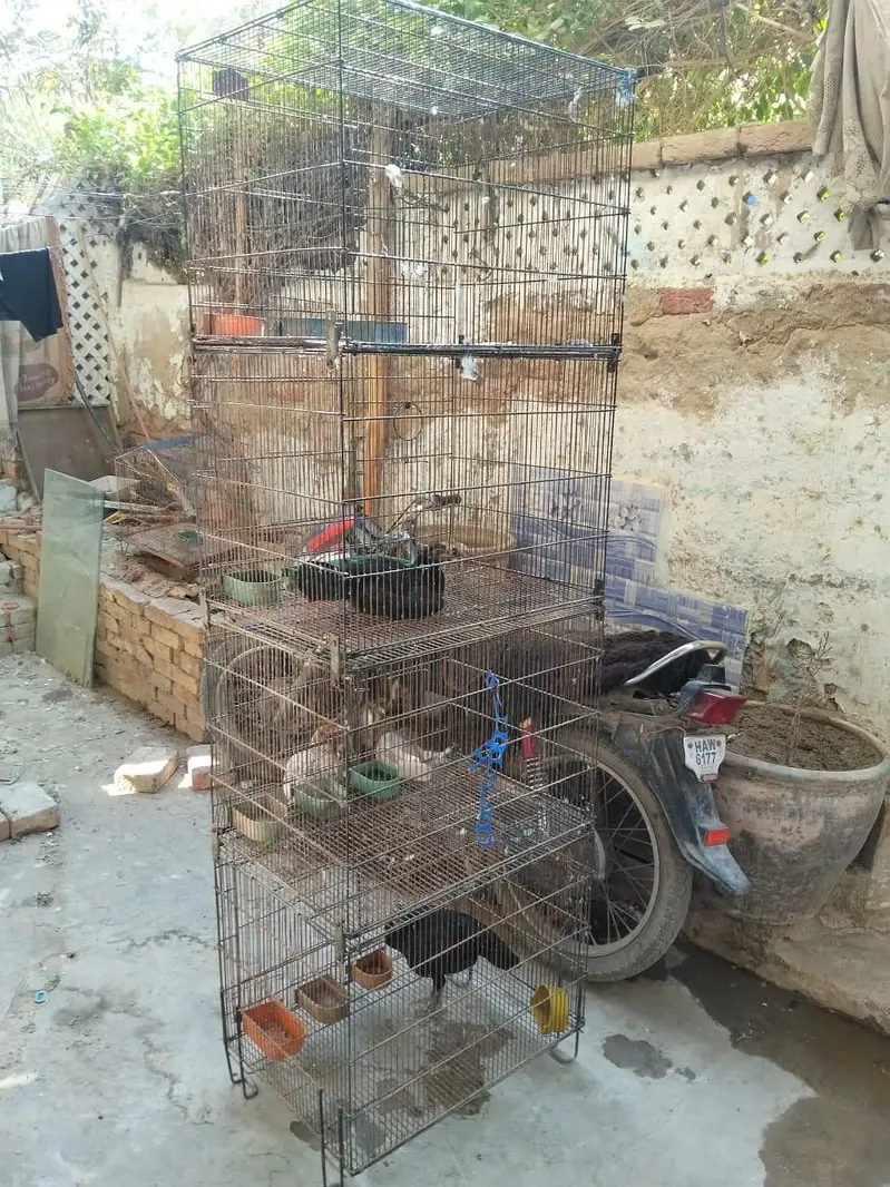 4 portion folding cage 10 by 10 condition — photo 6