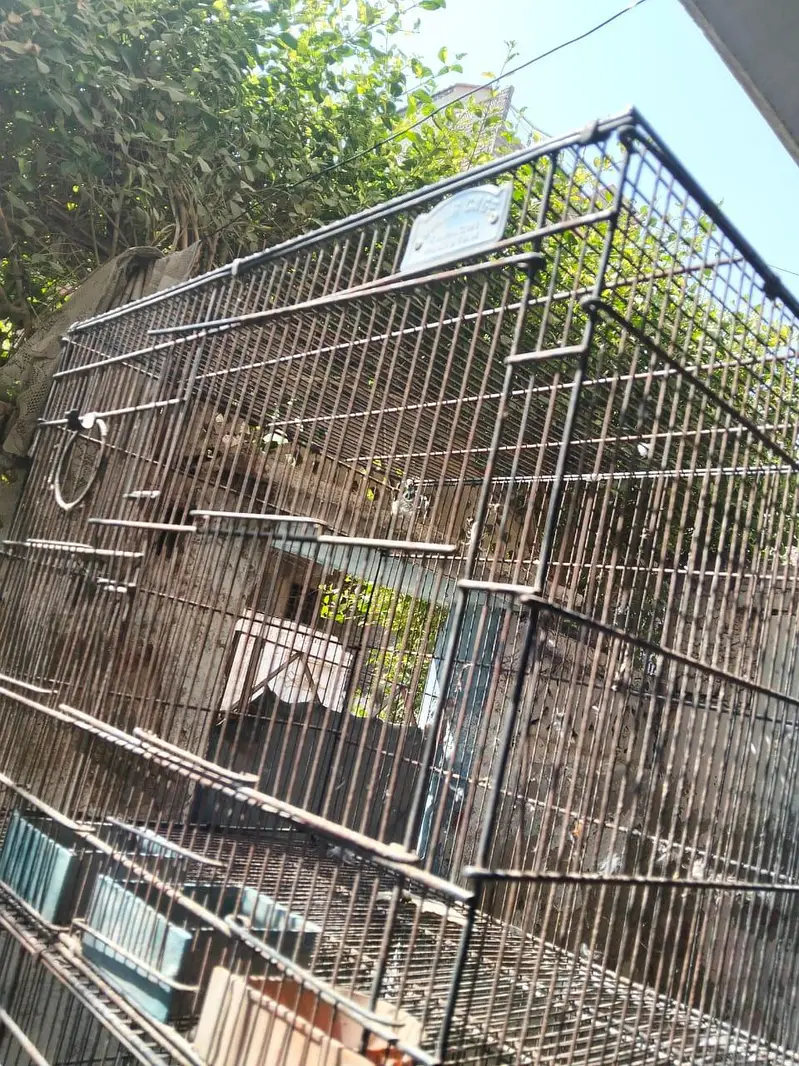 4 portion folding cage 10 by 10 condition — photo 7