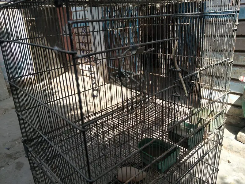 4 portion folding cage 10 by 10 condition — photo 9