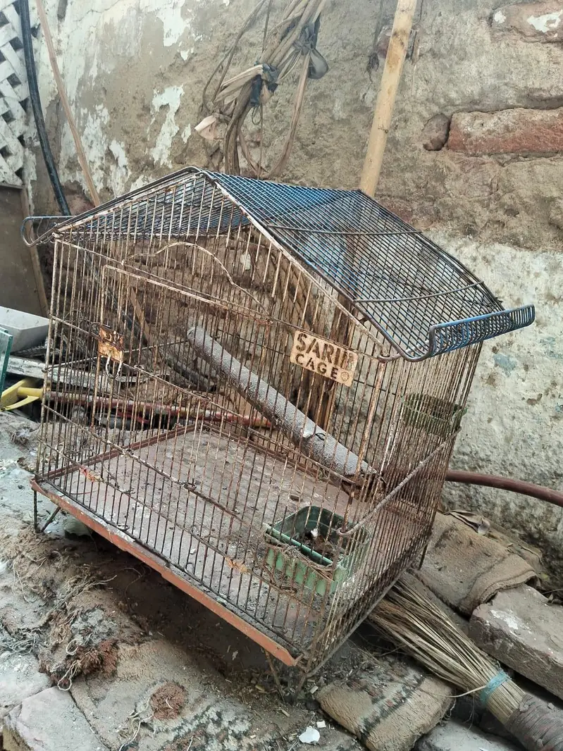 4 portion folding cage 10 by 10 condition — photo 10