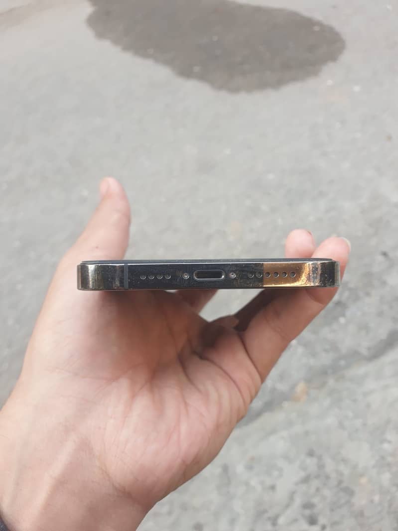 Apple iPhone 13 Pro Max 3