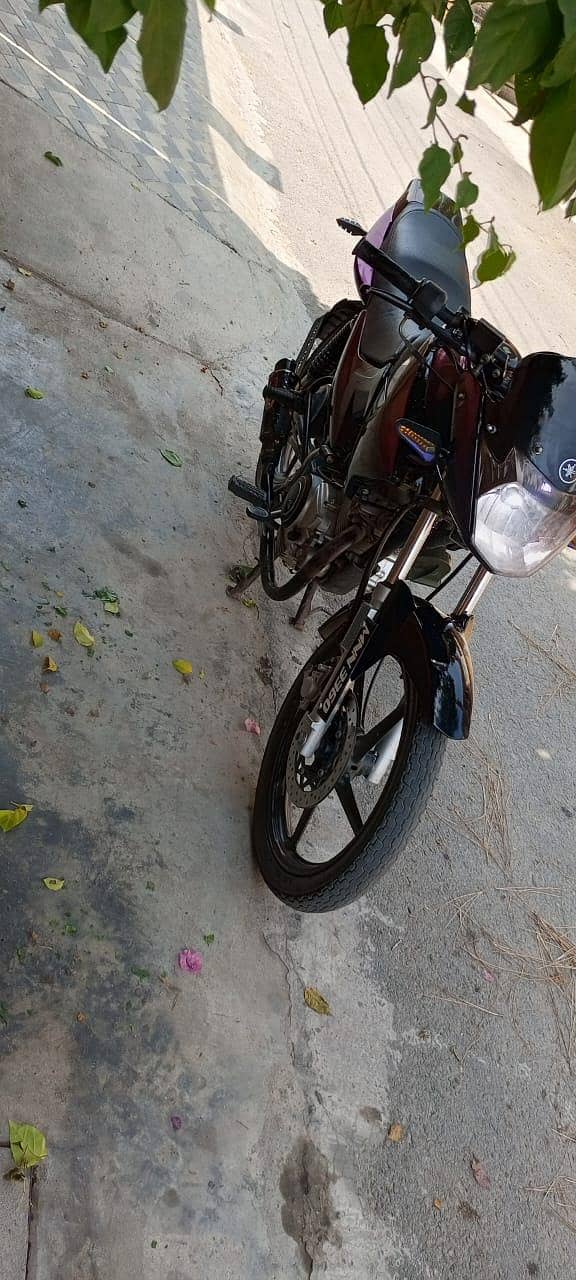 YBR 125 2