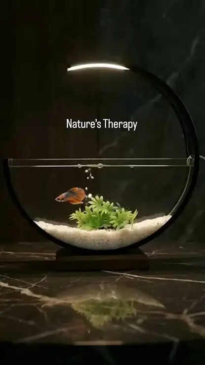 Moon Aquarium — photo 3