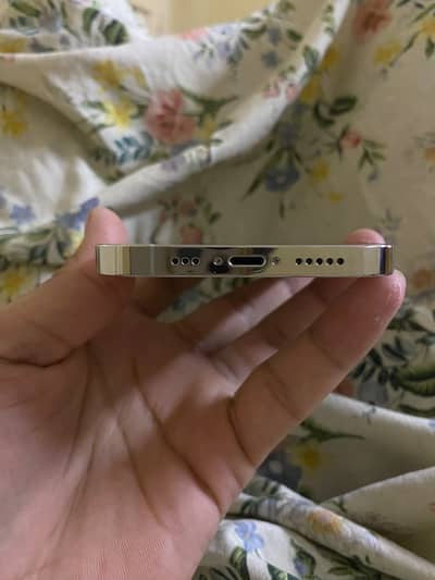 Apple iPhone 12 Pro