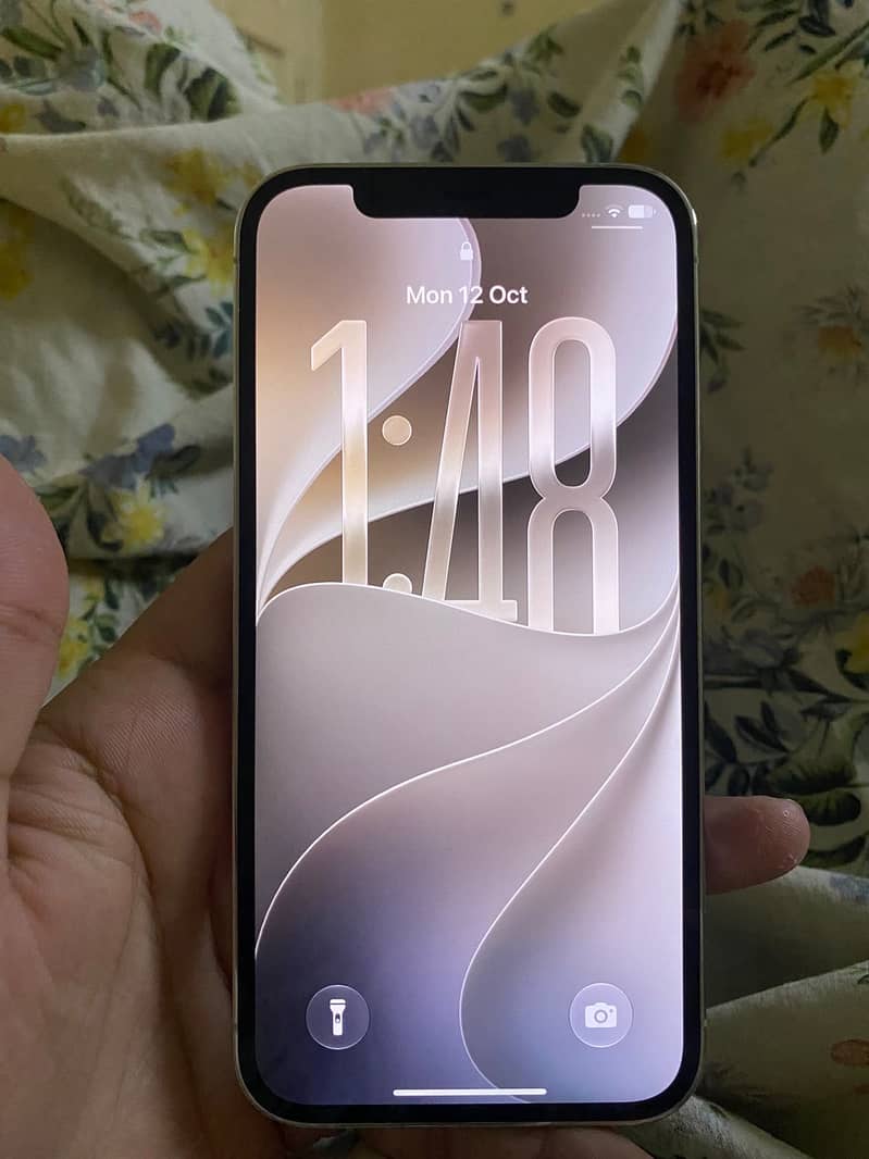 Apple iPhone 12 Pro 1