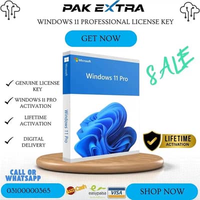 Windows 11 Professional CD License Key
