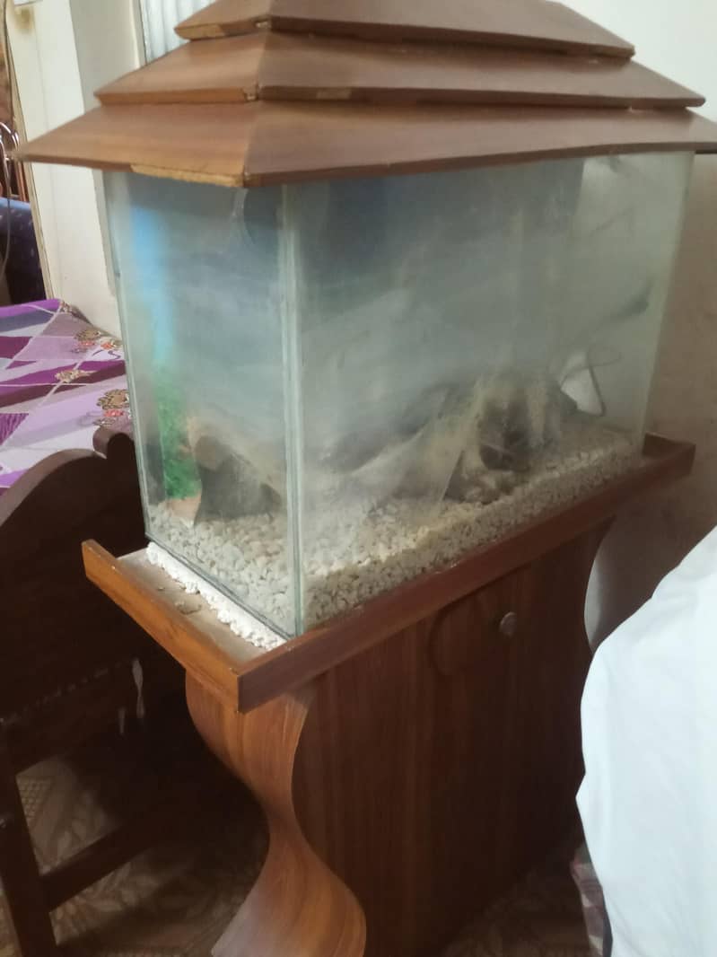 Acquraim 1