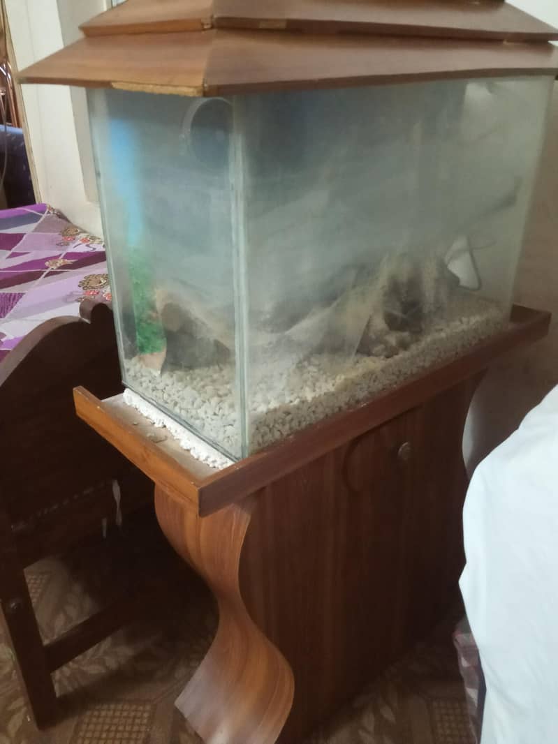 Acquraim 2