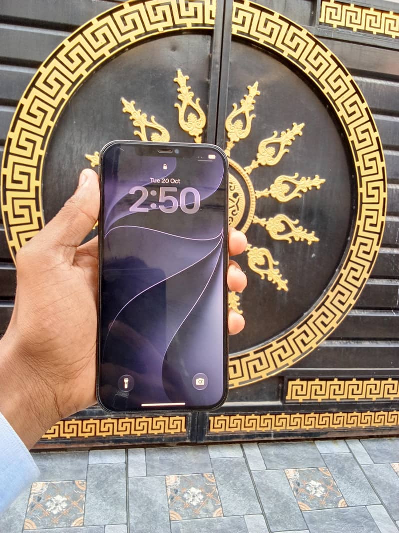 Apple iPhone 12 Pro Max 1