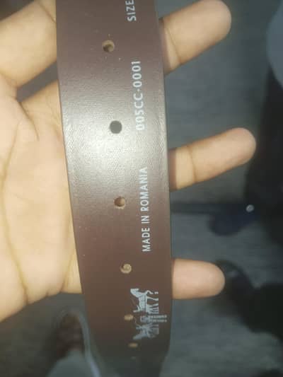 Belt new