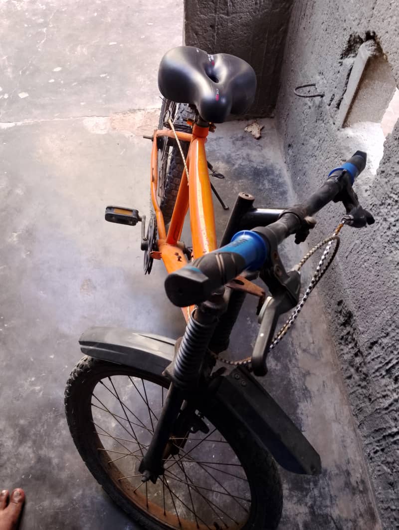 cycle 2