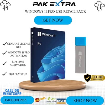 Microsoft Windows 11 Professional USB Retail (Pack)