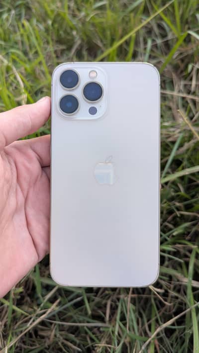 Apple iPhone 13 Pro Max