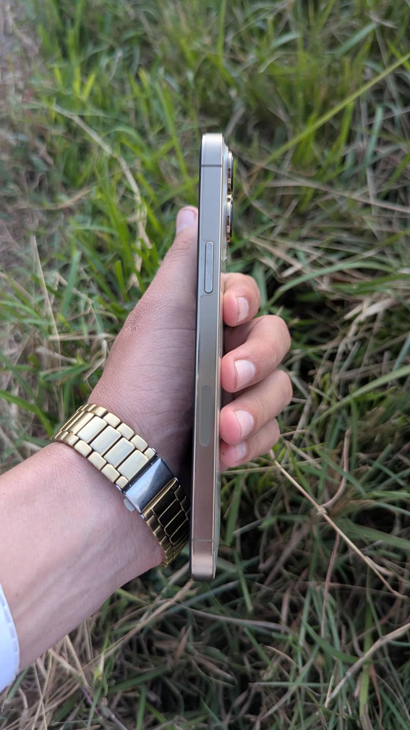 Apple iPhone 13 Pro Max 1