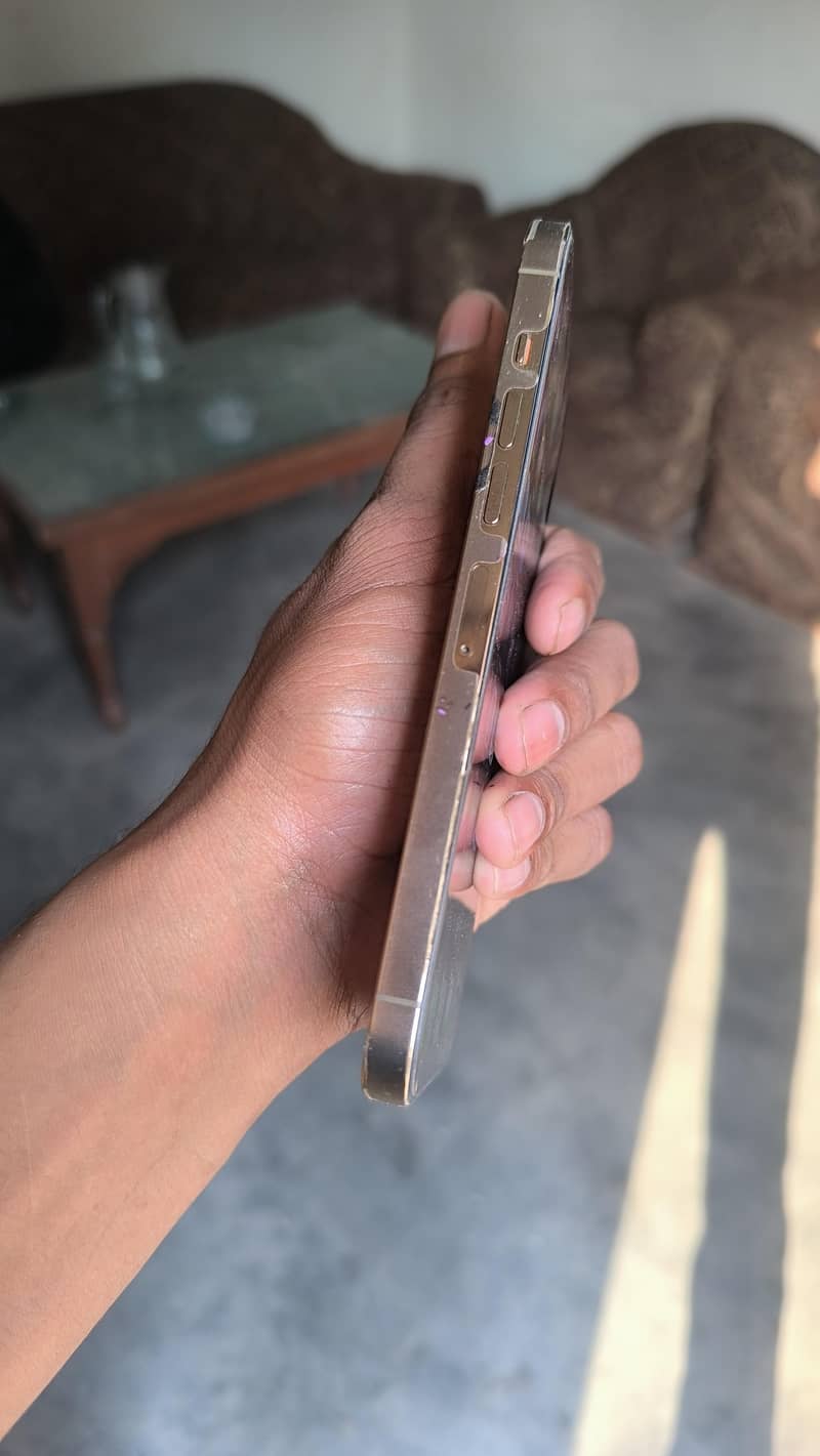Apple iPhone 13 Pro Max 2