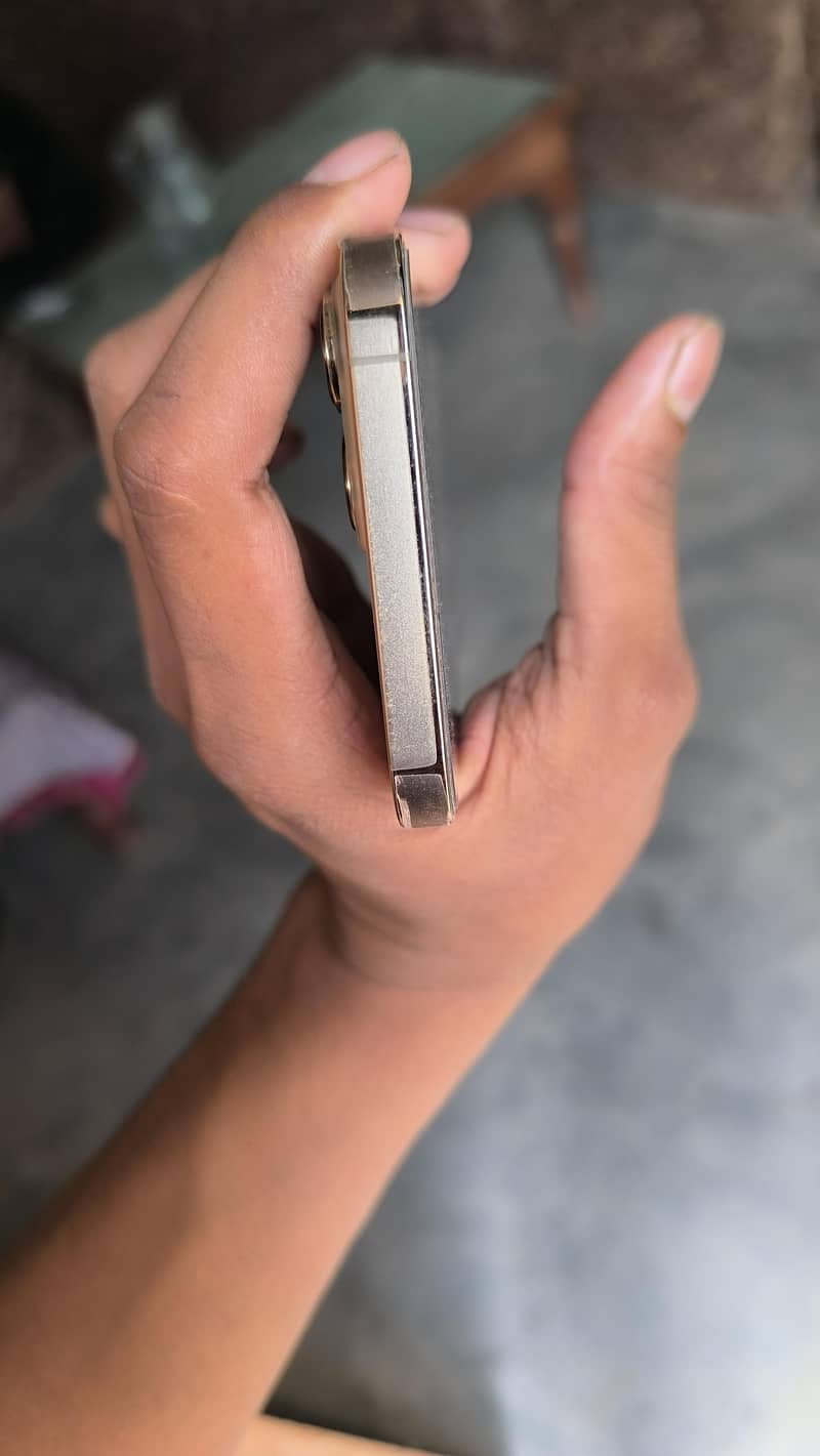 Apple iPhone 13 Pro Max 3