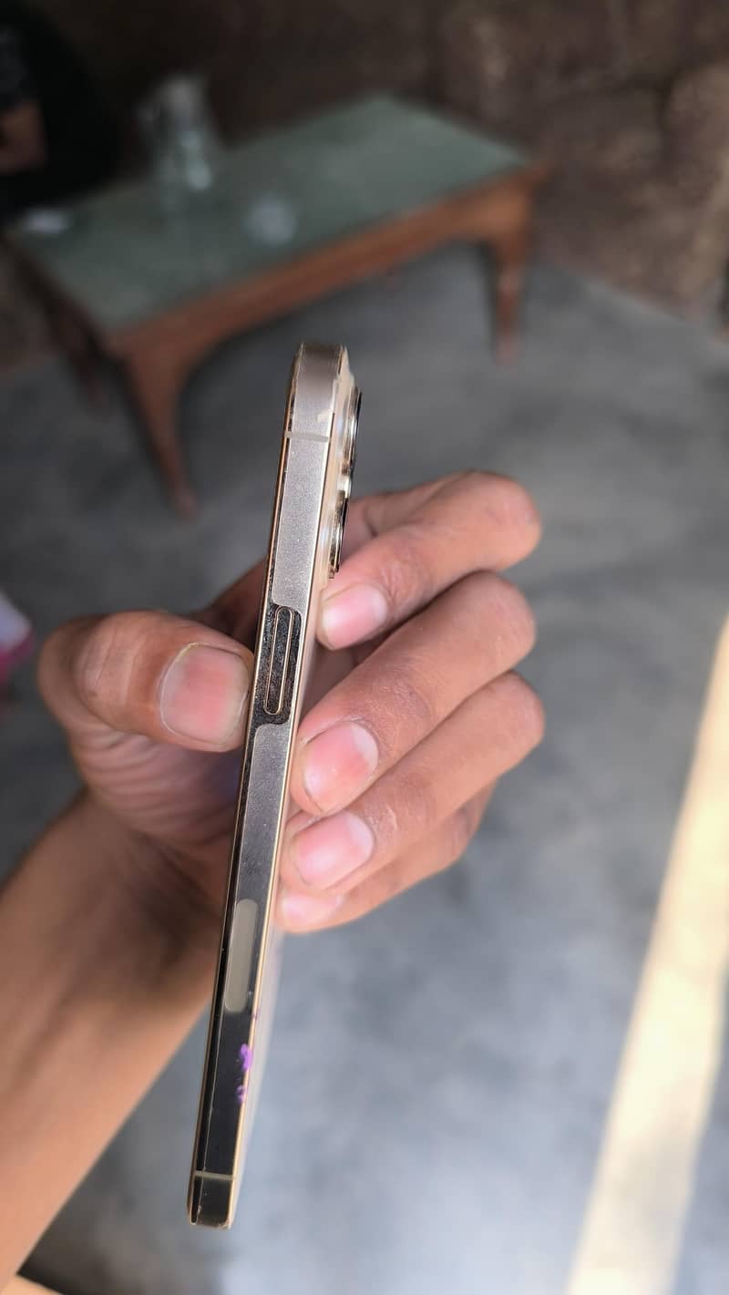 Apple iPhone 13 Pro Max 4