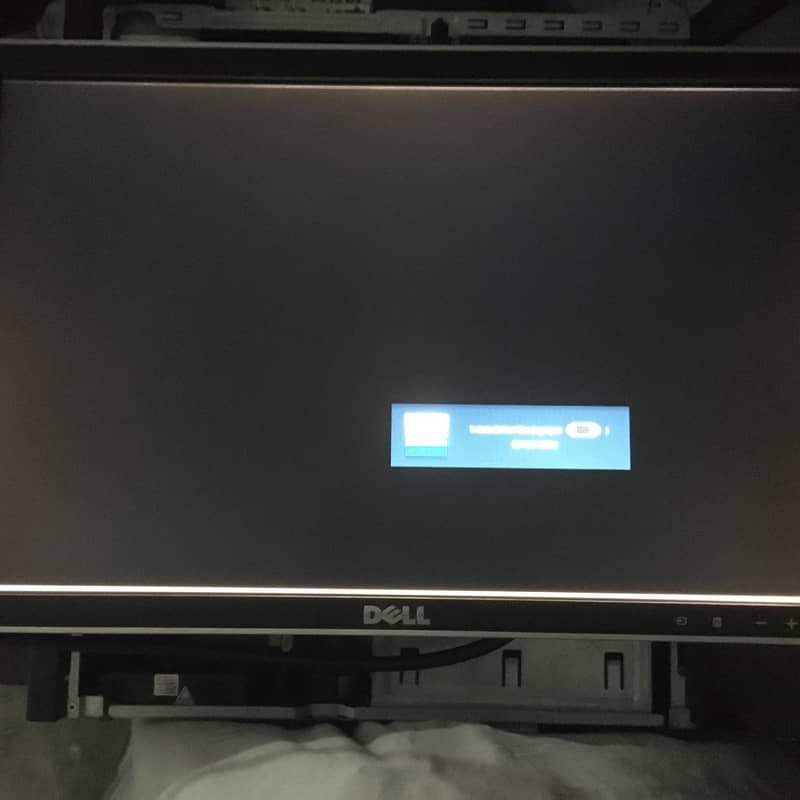 Dell 19" panal issue 1