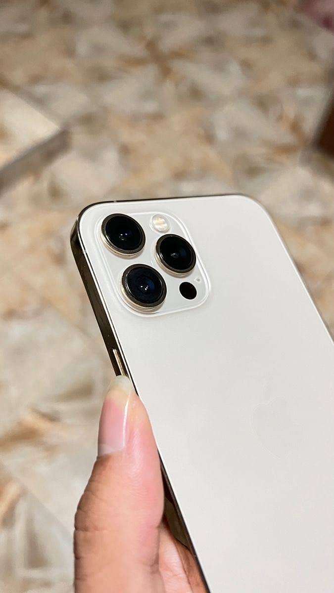 Apple iPhone 12 Pro Max 2