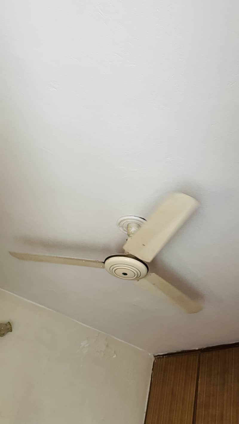Ceiling fans 2
