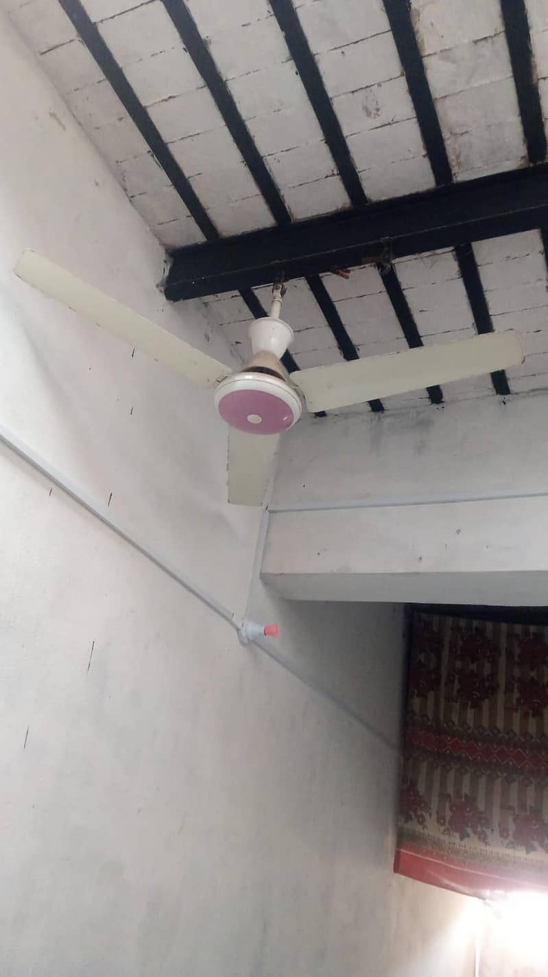 Sufi fan 0