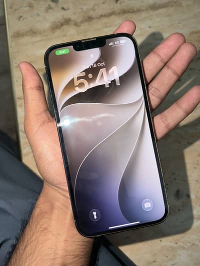 Apple iPhone 13 Pro Max