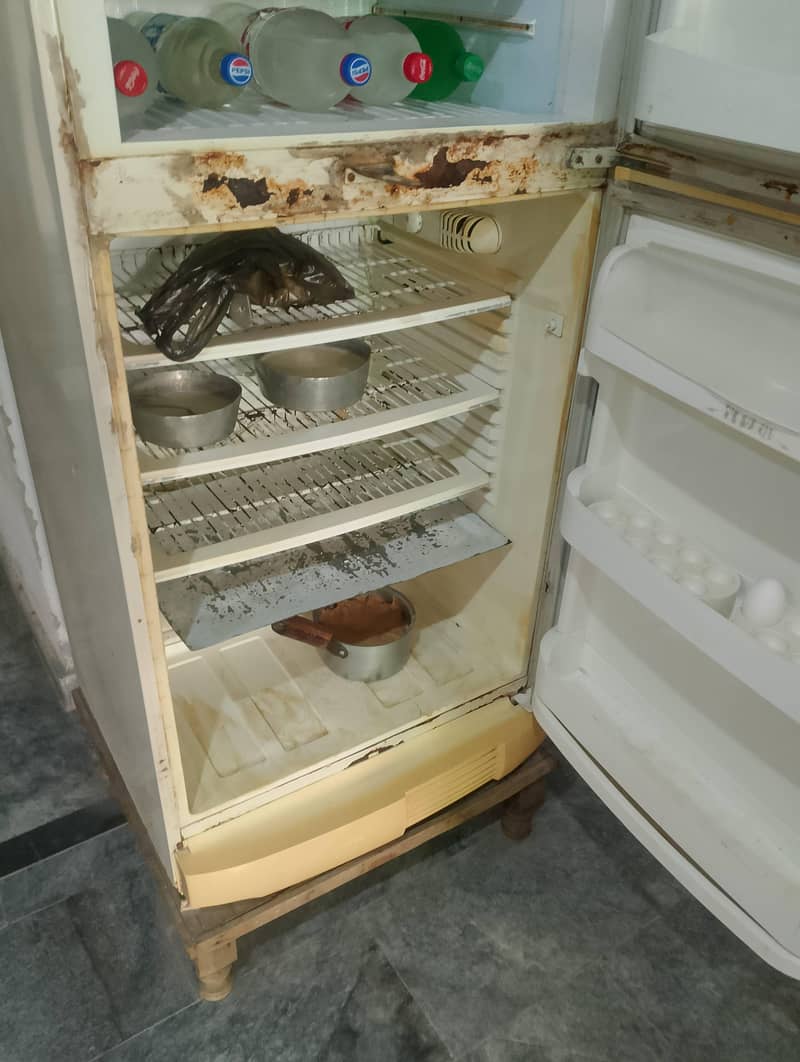 pel fridge 1