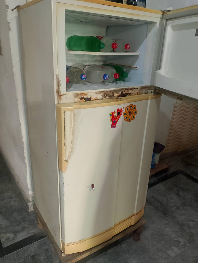 pel fridge 2