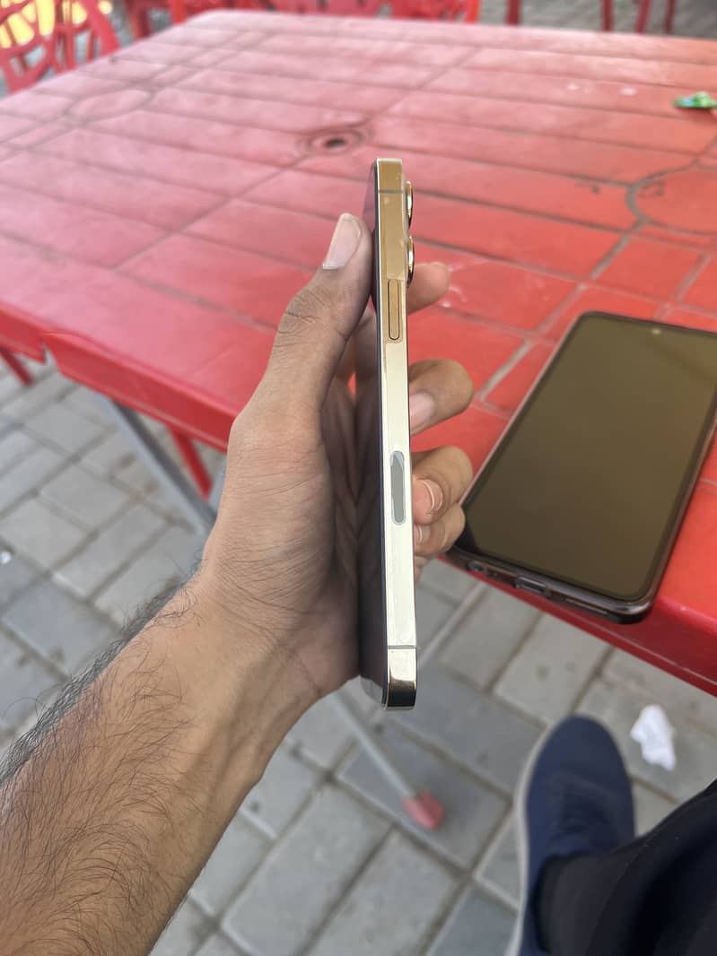 Apple iPhone 13 Pro Max 1