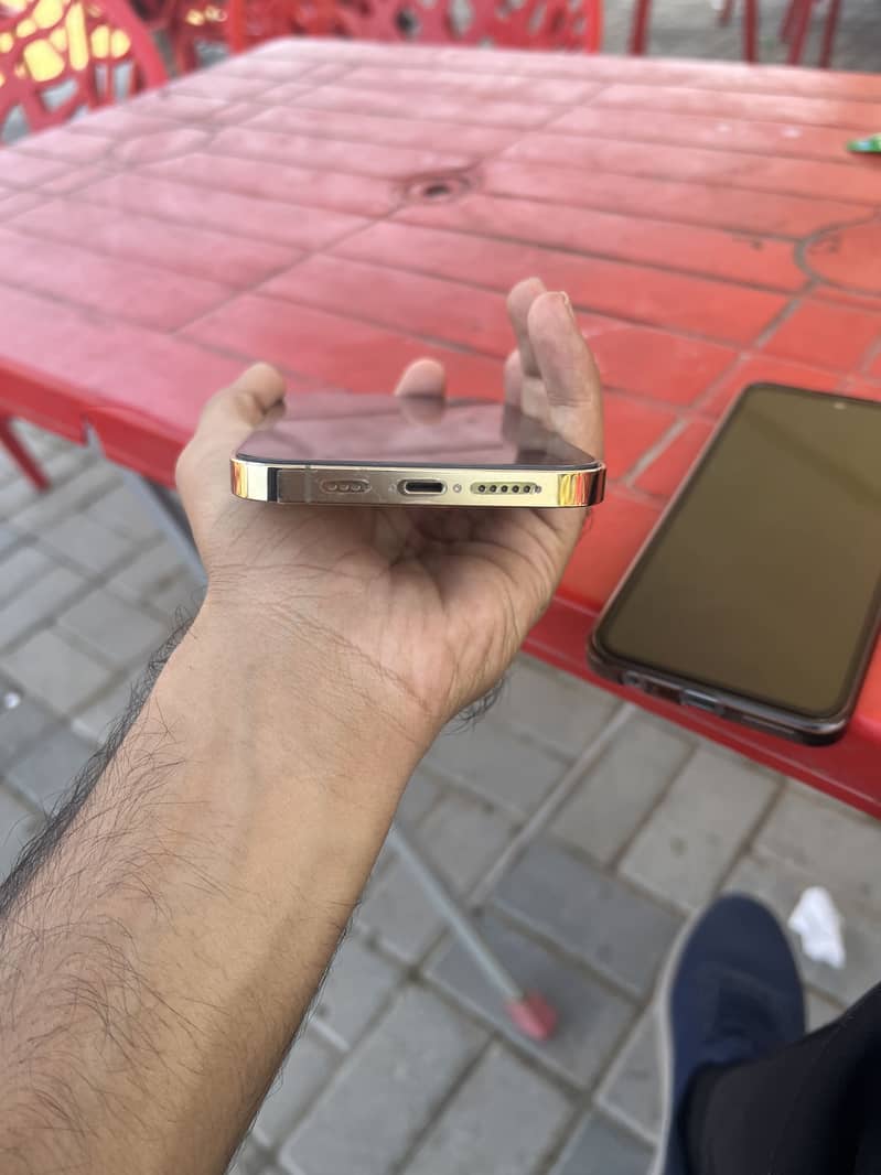 Apple iPhone 13 Pro Max 2