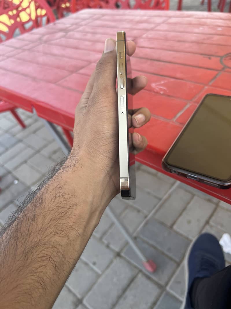 Apple iPhone 13 Pro Max 3