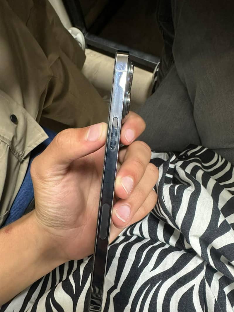 Apple iPhone 13 Pro Max 1