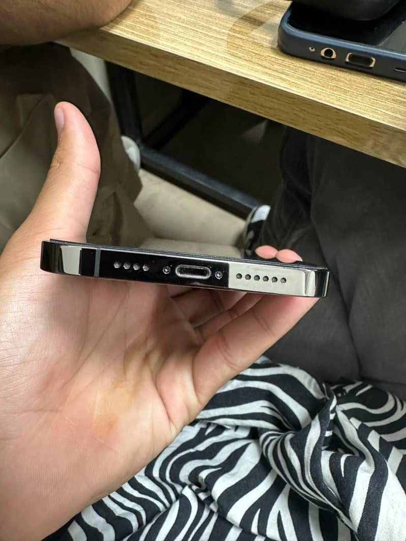 Apple iPhone 13 Pro Max 3
