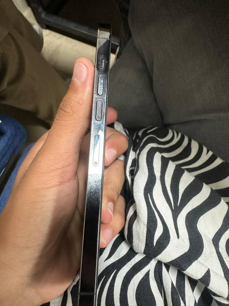 Apple iPhone 13 Pro Max 6