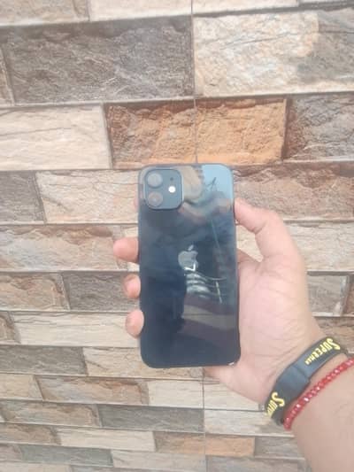 Apple iPhone 12