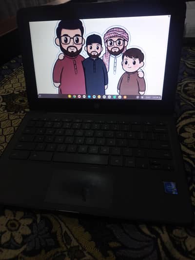 HP CHROME BOOK