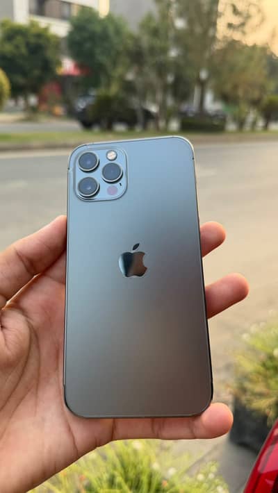 Apple iPhone 12 Pro Bulbul ka bacha