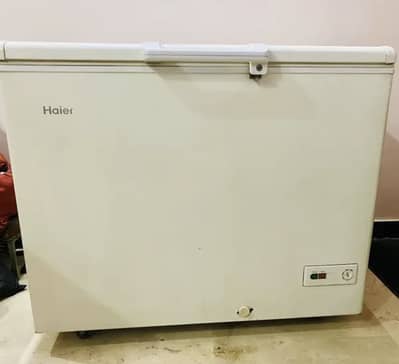 Haier Freezer