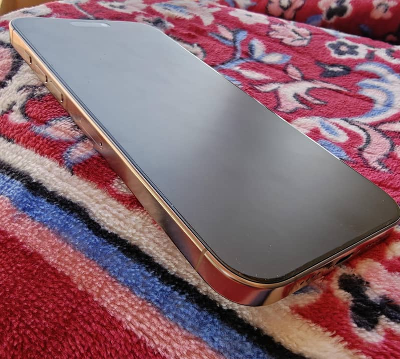 Apple iPhone 16 Pro Max 4