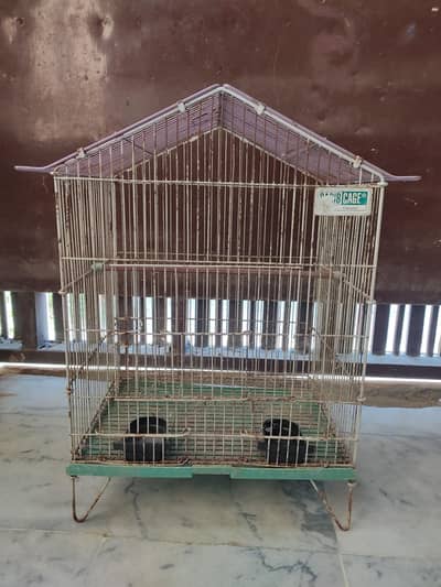 Birds Cage