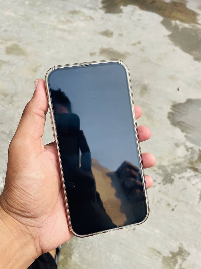 Apple iPhone 13 Pro Max 6