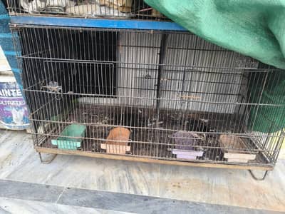 Zarar Birds Cage/Pinjra available 3ft