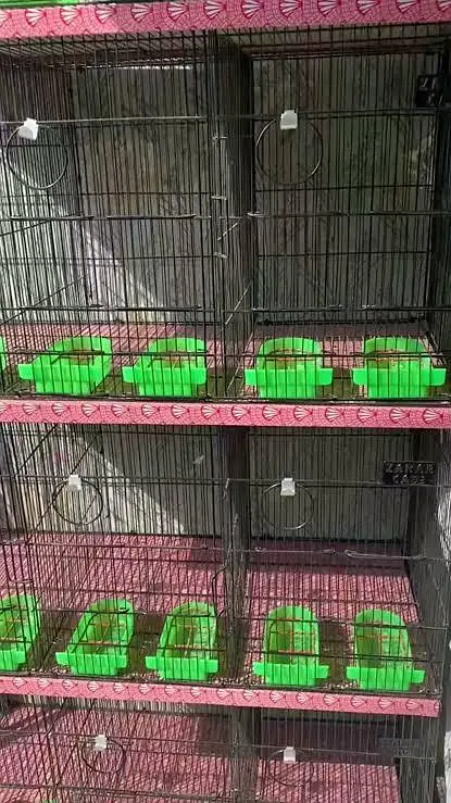 Zarar Birds Cage/Pinjra available 3ft — photo 2