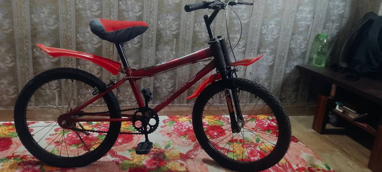 Kid cycle 0