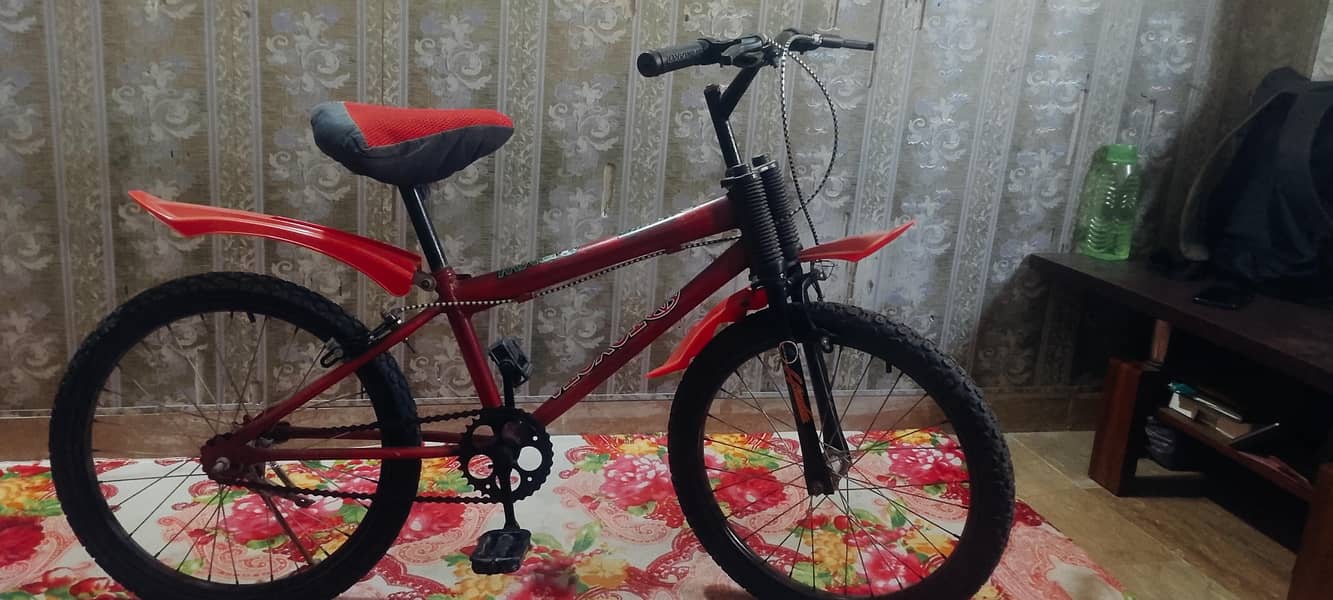 Kid cycle 1
