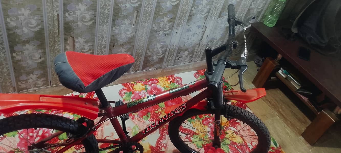Kid cycle 2