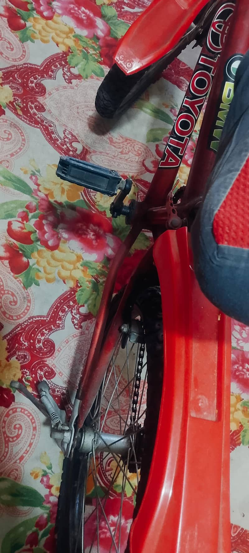 Kid cycle 5